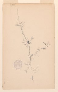 桠枝 作者 罗伯特·弗雷德里克·布鲁姆