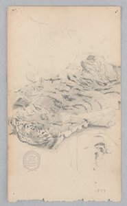 虎皮地毯 作者 罗伯特·弗雷德里克·布鲁姆