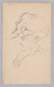 树枝 作者 罗伯特·弗雷德里克·布鲁姆