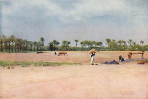 Esbet-El-Ekiad-歌珊国，c1880，1904年