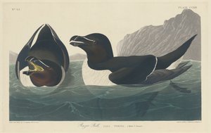 剃刀法案，1834年。 作者 罗伯特·哈维尔