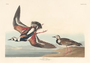 转石，1836年。 作者 罗伯特·哈维尔