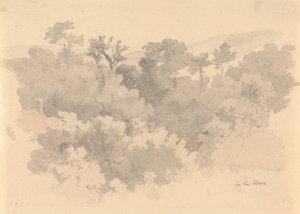 在沃克斯，泽西岛