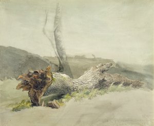 堕落的树，c.1804（在纸上的石墨上）