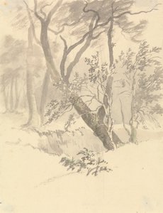 木头