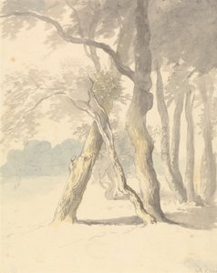 林地研究 作者 Robert Hills