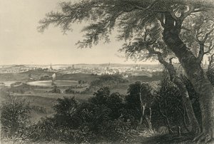 巴尔的摩市，从德鲁伊山公园看》，1874年。