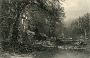阿迪朗达克森林》，1874年。  