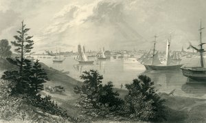底特律市，来自加拿大海岸》，1872年。  