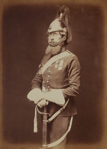 Sergeant-Major Bailey，第一位皇家龙骑兵卫队
