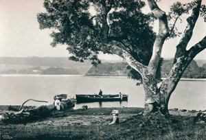 教堂岛，吉尔湖，斯莱戈，大约1908年 作者 罗伯特·约翰·韦尔奇