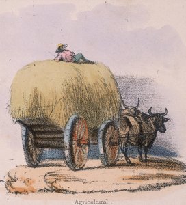 农业"，约1845年
