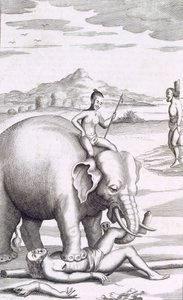 一头大象的处决，出版。1681. 作者 罗伯特·诺克斯