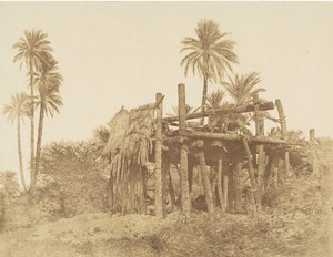 努比亚的Sakkieh，即水轮，约1856年。 作者 罗伯特·默里。