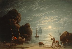 月光下的海岸风光