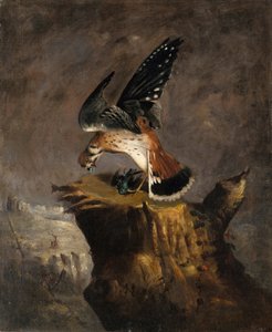 秃鹫和它的猎物，1844年。