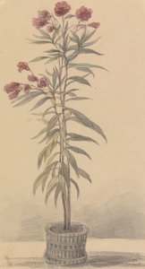 [莎士比亚插图之一 作者 罗伯特·斯默克