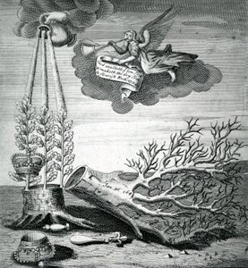 标题印刷指的是查理一世的执行和斯图亚特的继承，1715年