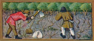 3月-在15世纪的葡萄园中工作，1939年。