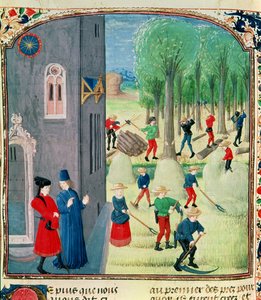 Lat 1173 Haymaking and Woodcutting女士，来自Charles d&39;Angouleme时间，1480年