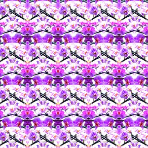 紫色兰花重复