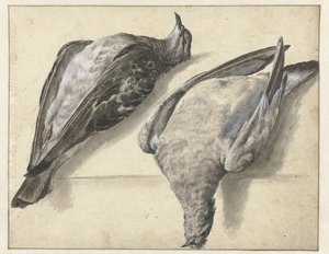 两只死鸽子 作者 罗克斯·范·维恩