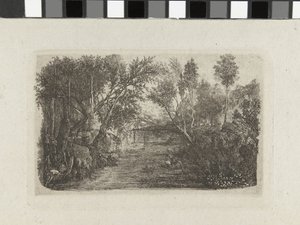 溪流与两岸树木的景观
Le cours d