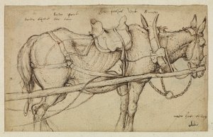 harness具 作者 罗兰特·雅各布斯（Roelandt Jacobsz）。储蓄