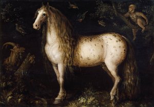 斑纹灰色c。 1625年至1630年