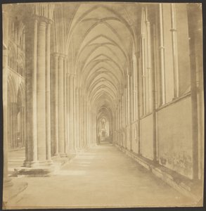 索尔兹伯里大教堂南过道 作者 罗杰芬顿