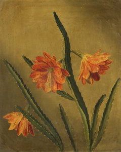 花的研究（布面油画）