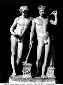 Castor 和 Pollux 或 Orestes 和 Pylades，来自 San Ildefonso 的组（大理石）（黑白照片） 作者 小说
