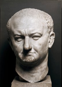 罗马皇帝维斯帕西亚诺 (Vespasianus 或 Vespasiano, 9-79 ap. JC) 的头像 - 大理石雕塑，高 40 厘米 - 罗马，Museo Nazionale Romano - 皇帝瓦斯帕西安 (Titus Flavius Vespasianus) 的头像 (9-79) - 大理石雕塑 ( H. 40 cm) - 罗马，国家博物馆 作者 小说