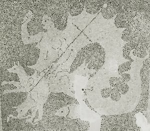 Scylla和Charybdis的希腊化的小卵石马赛克守卫海峡，Scylla细节。 House of Dionysos，帕福斯，塞浦路斯马赛克 作者 小说