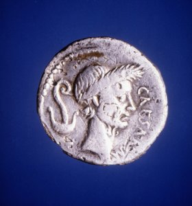 Julius Caesar - Roman coin 作者 小说