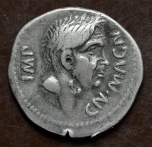 印有庞培大帝 (Gneo Pompeo Magno 或 Gnaeus Pompeius Magnus) 肖像的银币 作者 小说
