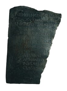 医院表（Tabula Hospitalis 作者 小说