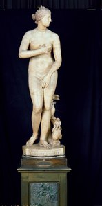Medici Venus，Praxiteles（公元前370  -  330年）的希腊文原版（大理石）
