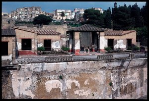 Casa dei cervi，公元前 5 世纪至公元 1 世纪 作者 罗马罗马