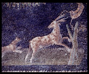 公元前 5 世纪至公元 1 世纪 casa di Nettuno e Anfitrite 的 nymphaeum 墙壁马赛克细节 作者 罗马罗马