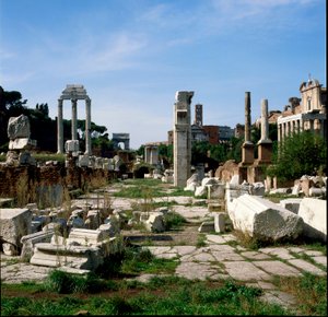 罗马艺术：论坛 (foro romano) 的景色。 罗马 作者 罗马罗马