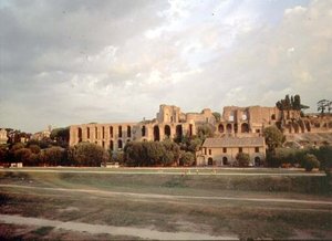 从Maximus广场看Palatine（照片）（另见99013）。 作者 罗马罗马