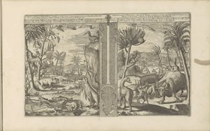 西印度群岛动物
West Indische Beesten / 西印度群岛的动物（题名见实物）
Les Indes Orientales et Occidentales et autres lieux（系列名称） 作者 彼得·范德阿 (I)
