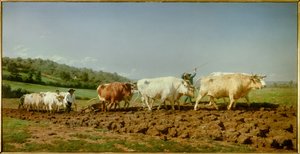 Le plowing nivernais, le sombrage Marie Rosalie Bonheur 的画作，Dit Rosa Bonheur (1822-1899) 1849 年 1.3x2.6 米巴黎，奥赛博物馆 作者 粉红色的快乐