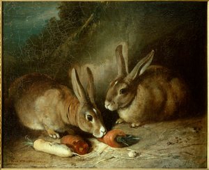 兔子。 Rosa Bonheur (1822-1899) 的绘画