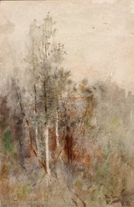 树木研究》，1879年。 作者 罗斯·特纳