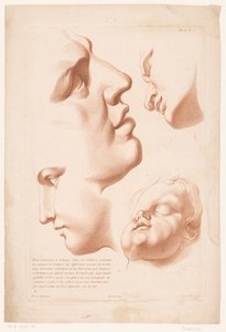 男人、女人和孩子的头像
自然素描原理，第二部分（系列名称）
IIe Cahier de Principes du Dessin d