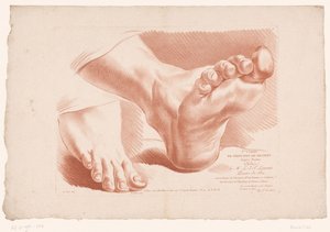 双脚标题印刷品
自然绘画原理，第五部分（系列标题）
Ve Cahier de Principes du Dessin d