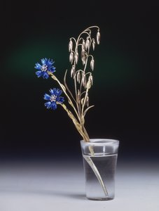 矢车菊和玉米穗，费伯奇工作室，19世纪80年代