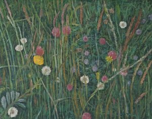 马查尔的植物，2008年 作者 露丝·艾迪纳尔